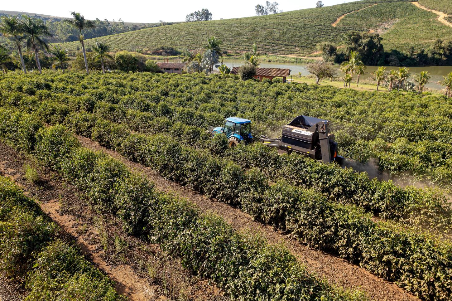 Governo inicia mapeamento para impulsionar inovação no agronegócio brasileiro