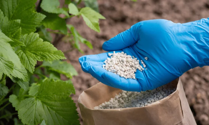 Guerra pressiona fertilizantes e ameaça produção global de alimentos